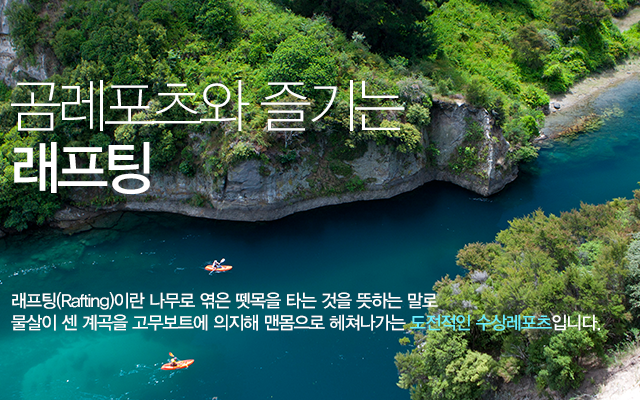 곰레포츠와 즐기는 래프팅